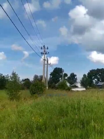 ул Зеленая с. Вязовка фото