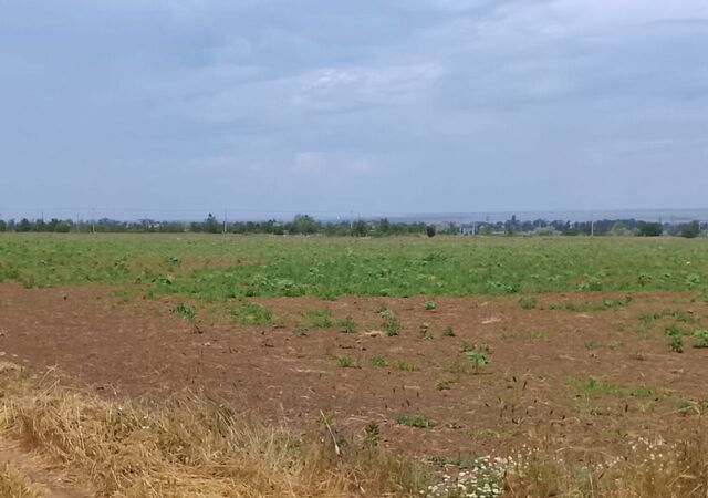 Скифская ул, Анапа фото