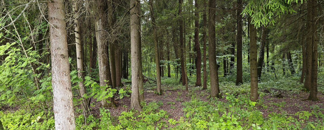 земля г Калуга садовое некоммерческое товарищество Экспресс, 472 фото 5