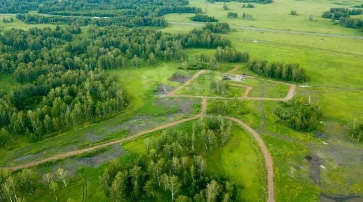 земля г Копейск ул Магнитогорская КП Берёзки фото 3