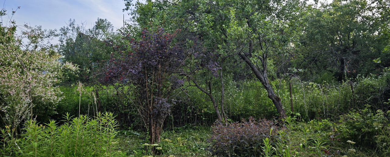 земля г Калуга садовое некоммерческое товарищество Экспресс, 472 фото 11