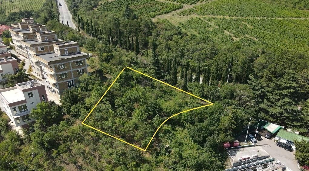 земля г Ялта пгт Гурзуф ш Гурзуфское 1 фото 6