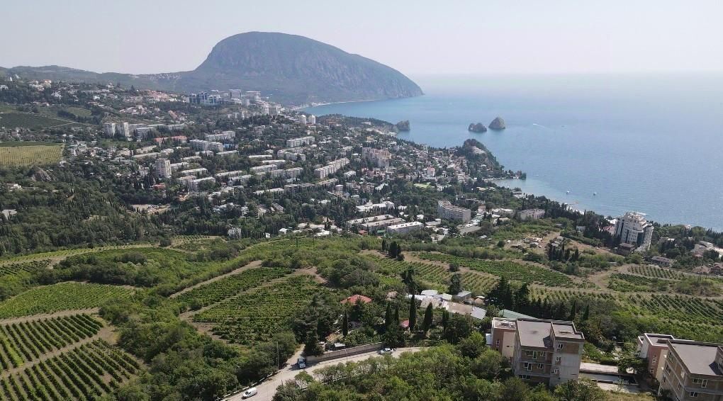 земля г Ялта пгт Гурзуф ш Гурзуфское 1 фото 15