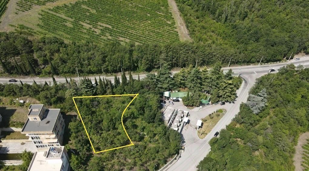земля г Ялта пгт Гурзуф ш Гурзуфское 1 фото 17