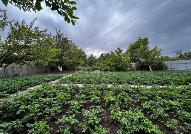 садовое товарищество Заря фото