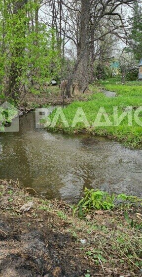 дом г Арсеньев ул Советская 97 фото 3