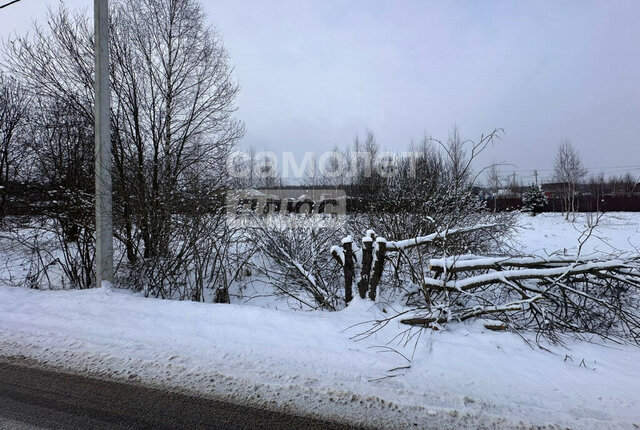 тер Новинское Наро-Фоминский городской округ фото