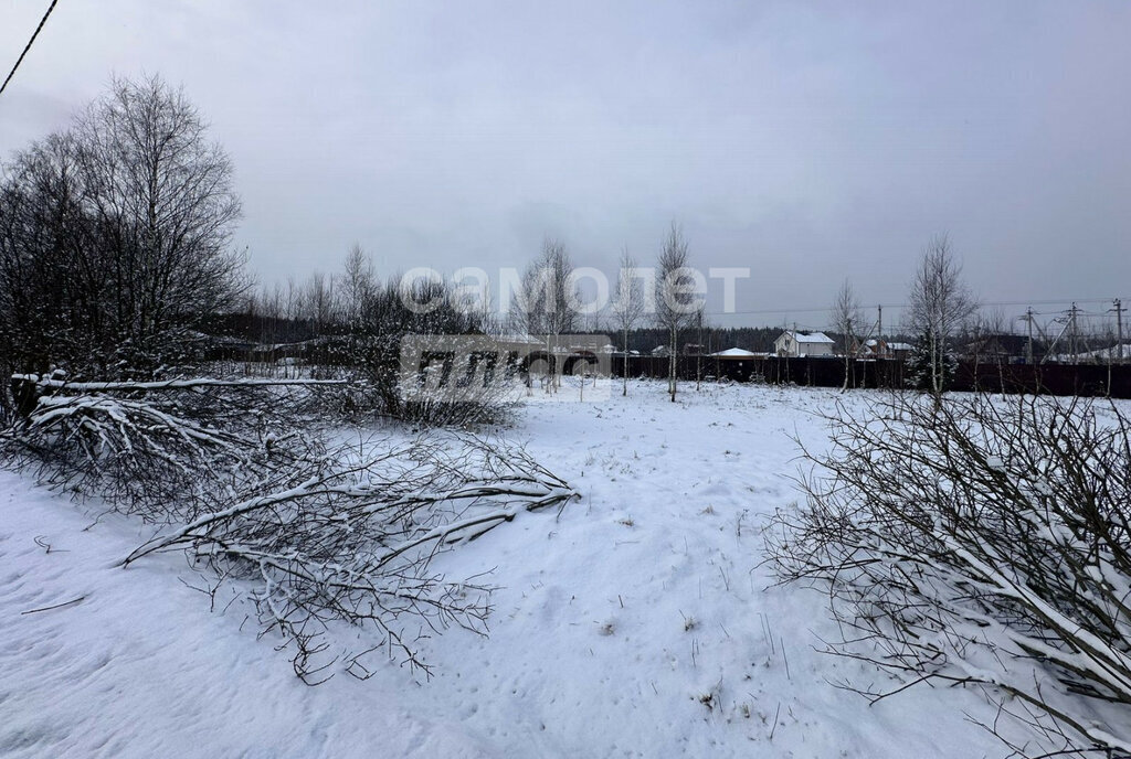 земля г Наро-Фоминск тер Новинское Наро-Фоминский городской округ фото 3