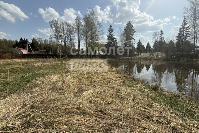 земля КП Лесные пруды фото