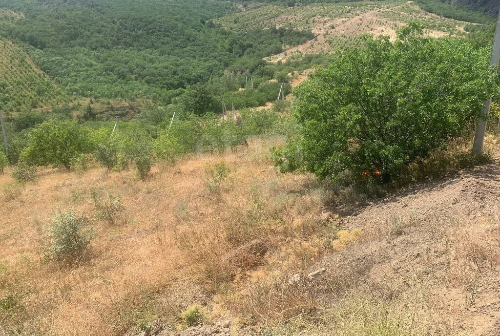 земля г Алушта с Лучистое мкр Восточный фото 9