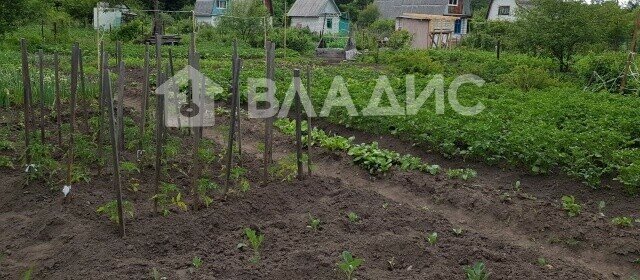 дом г Арсеньев ул Советская 97 фото 6