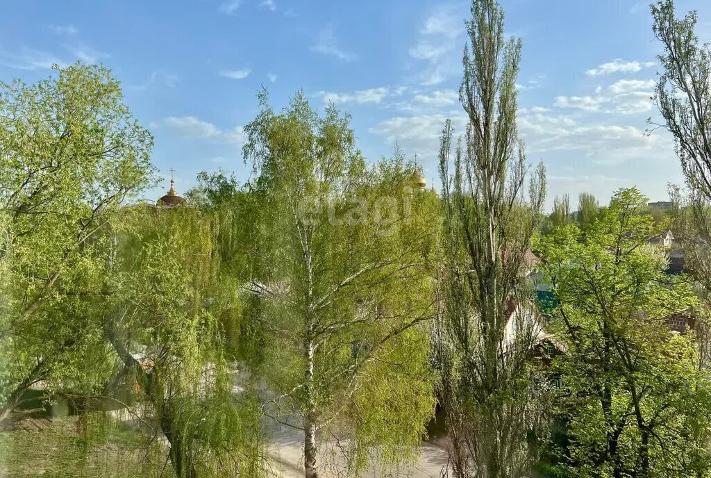 квартира г Тамбов б-р Энтузиастов 1в фото 14