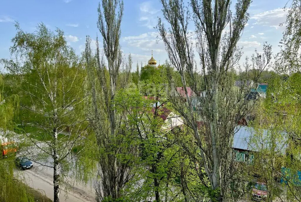 квартира г Тамбов б-р Энтузиастов 1в фото 26
