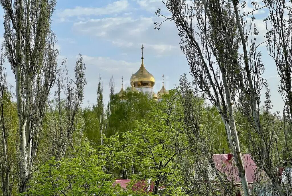 квартира г Тамбов б-р Энтузиастов 1в фото 27