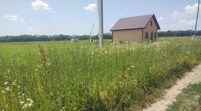 п Родниковый фото