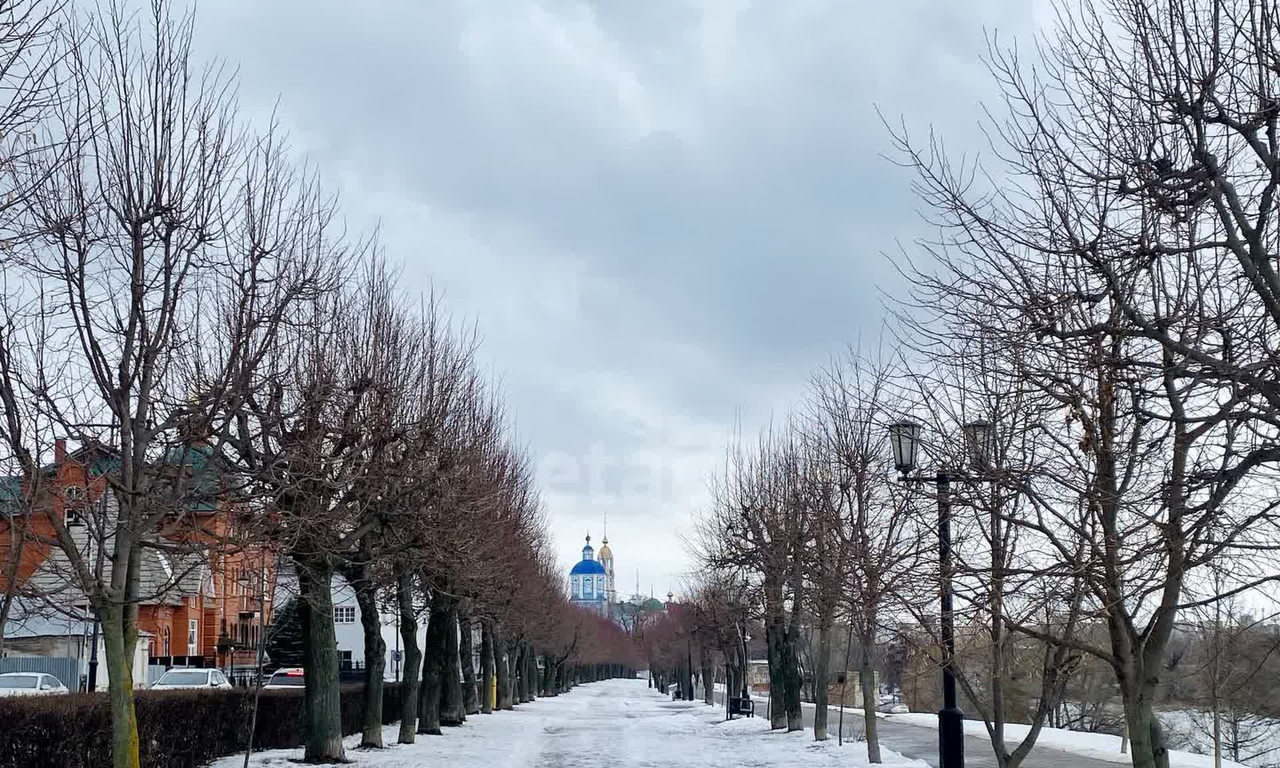квартира г Тамбов ул Набережная 74/1 фото 45