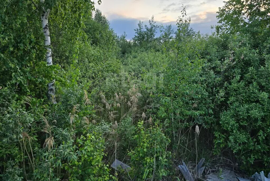 земля г Тюмень снт Поле чудес Кукольный переулок фото 3
