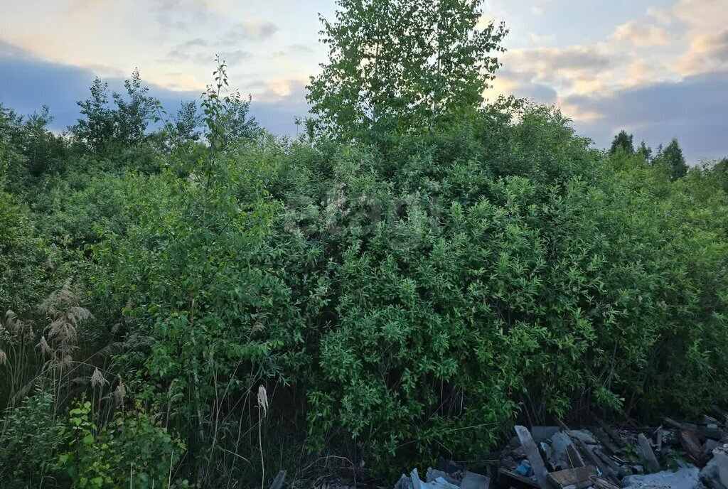 земля г Тюмень снт Поле чудес Кукольный переулок фото 2