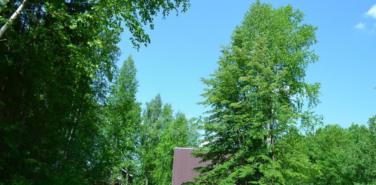 дом г Пермь р-н Свердловский ул Осенняя 141а Новобродовский мкр фото 6
