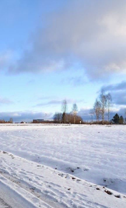 земля г Добрянка д Залесная Форест эко-посёлок, 80 фото 6