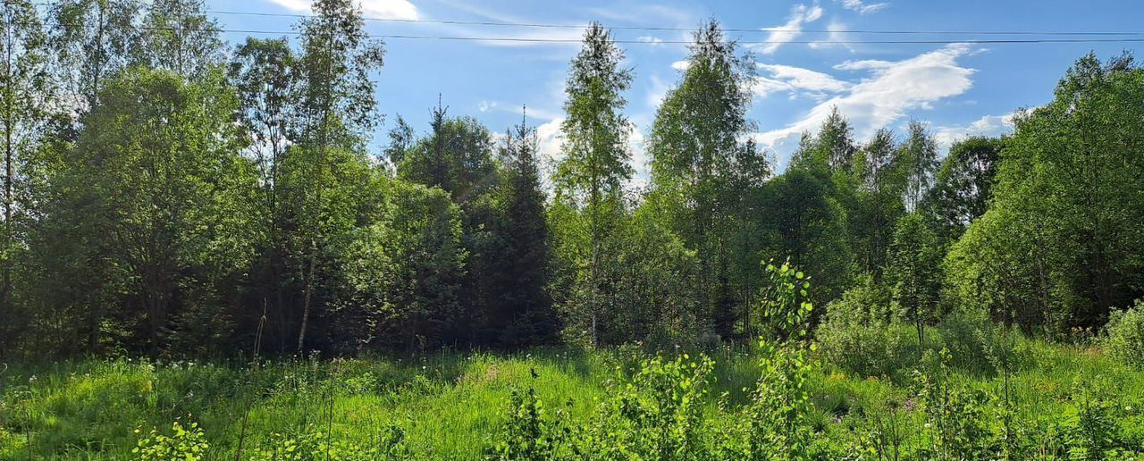 земля городской округ Наро-Фоминский г Апрелевка 29 км, д. Тимонино, Киевское шоссе фото 4