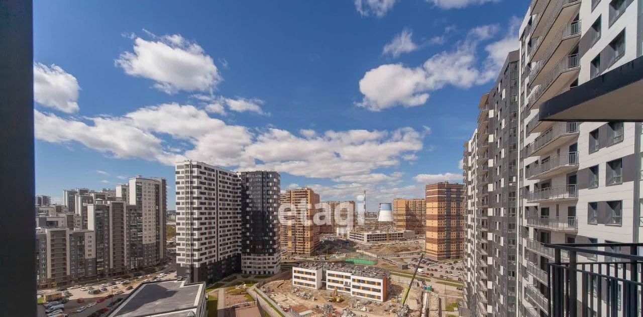 квартира г Санкт-Петербург метро Ломоносовская ул Русановская 24 фото 12