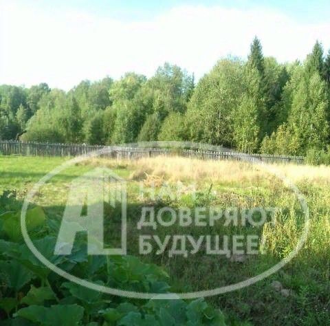 дом г Чайковский д Засечный ул Мира 42 фото 9