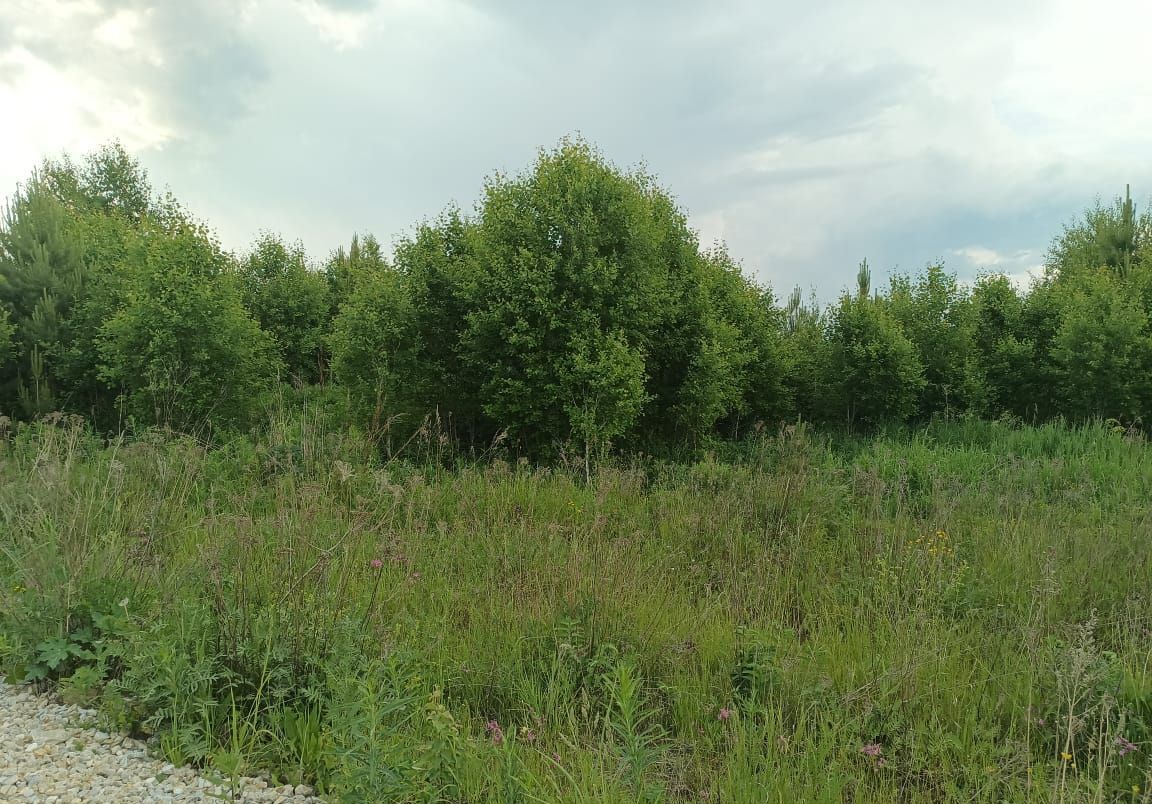 земля г Ревда с Кунгурка сектор Е, Екатеринбург фото 4