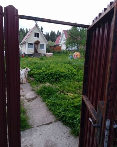 д Мисирёво снт Березка 61 км, 16, Клин, Ленинградское шоссе фото
