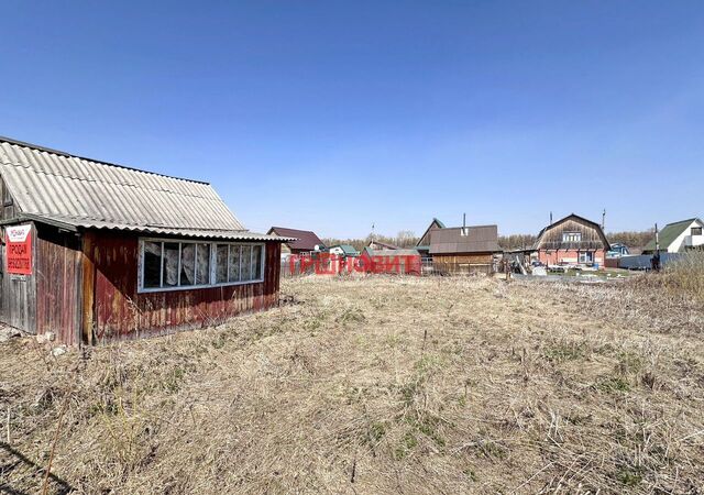 п Мичуринский сельсовет, 5-я ул., 40, Бердск, садовое товарищество Авиатор фото