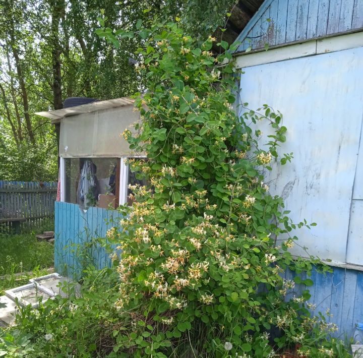 дом г Смоленск р-н Ленинский ст снтМечта 202 фото 1