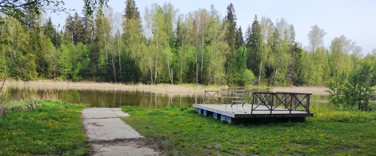 земля г Истра Истринский Плес кп фото 9