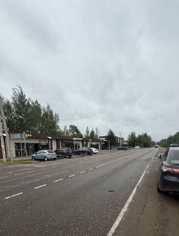 д Рыбаки Лобня фото
