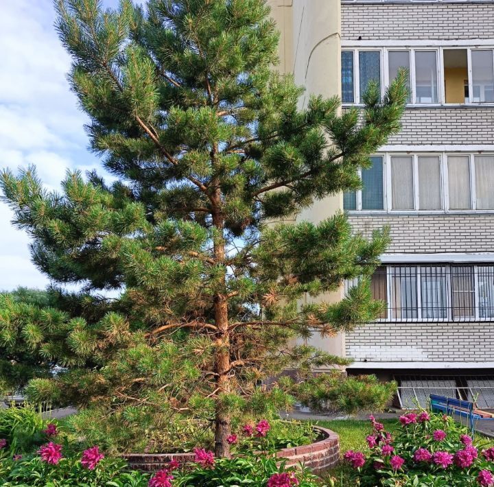 квартира г Омск р-н Центральный ул 27-я Северная 73 фото 23