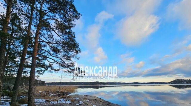п Терву ул Ладожская 13 фото
