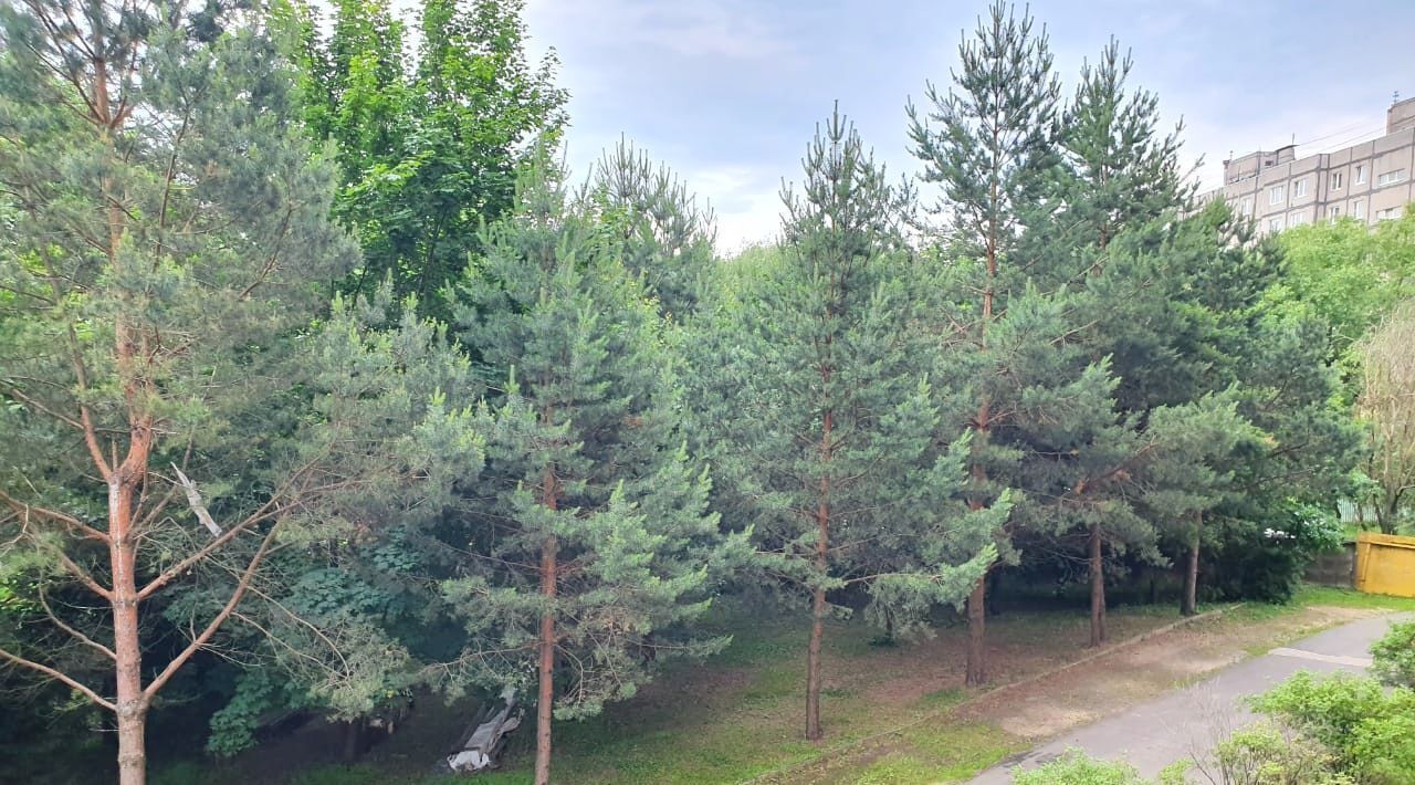 квартира г Домодедово микрорайон «Авиационный» 7 ул. Королева, Домодедовская фото 45