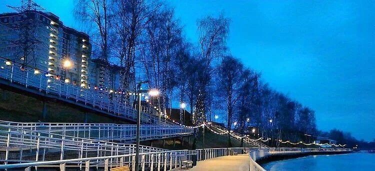 квартира г Долгопрудный Водники ул Набережная 29к/1 фото 29
