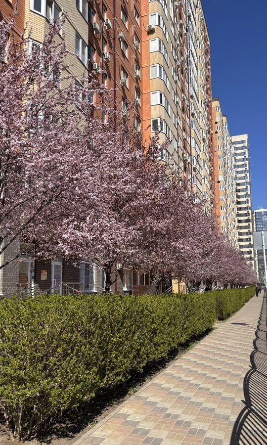 квартира г Краснодар р-н Прикубанский ул им. Героя Яцкова И.В. 9к/3 фото 25