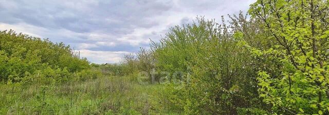 Староивановское с/пос, Ромашка СТ фото