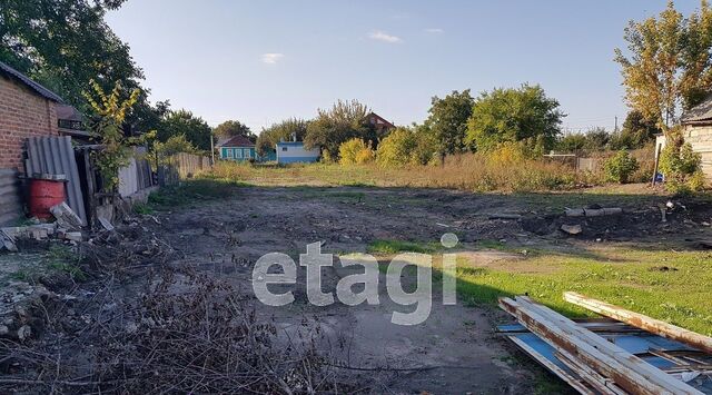 Западный ул Чичерина 45 фото