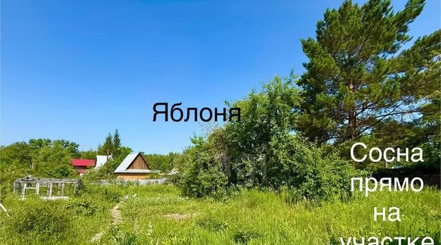 Заельцовская снт Пенсионер 186А фото