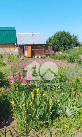 снт Надежда Советское шоссе фото