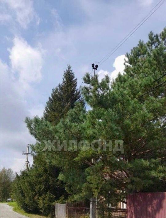 земля г Кашира д Лиды снт Дубрава фото 3