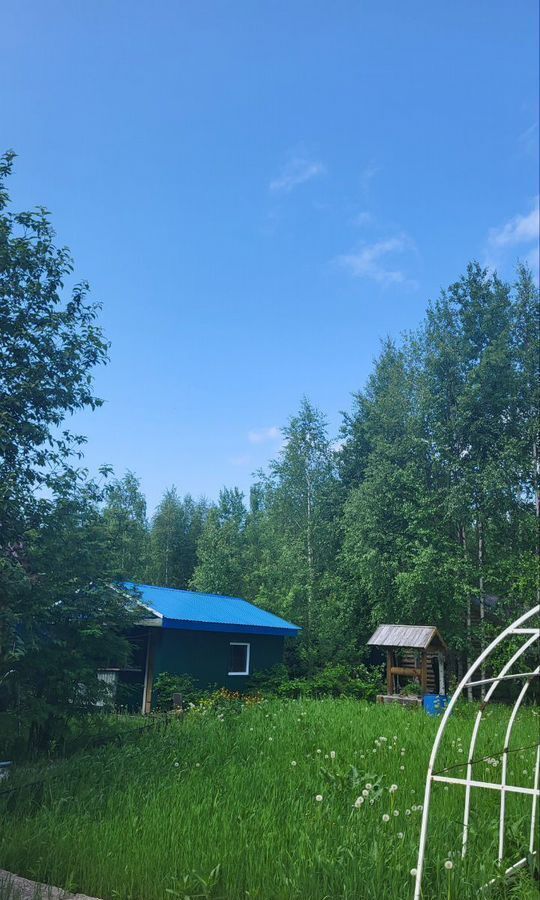 дом г Нижневартовск снт Голубое озеро 167, Тюменская обл., садово-огородническое некоммерческое товарищество фото 7