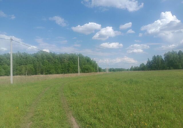 направление Павелецкое (юго-восток) ш Каширское 97 км, сельское поселение Иваньковское, Тульская обл., Ясногорский р-н, с. Климовское, Пущино фото