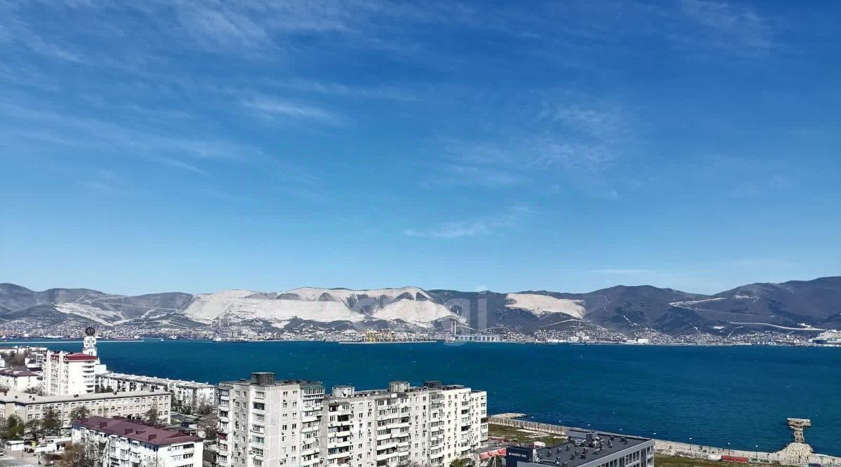 квартира г Новороссийск р-н Центральный ул Куникова 1 фото 15