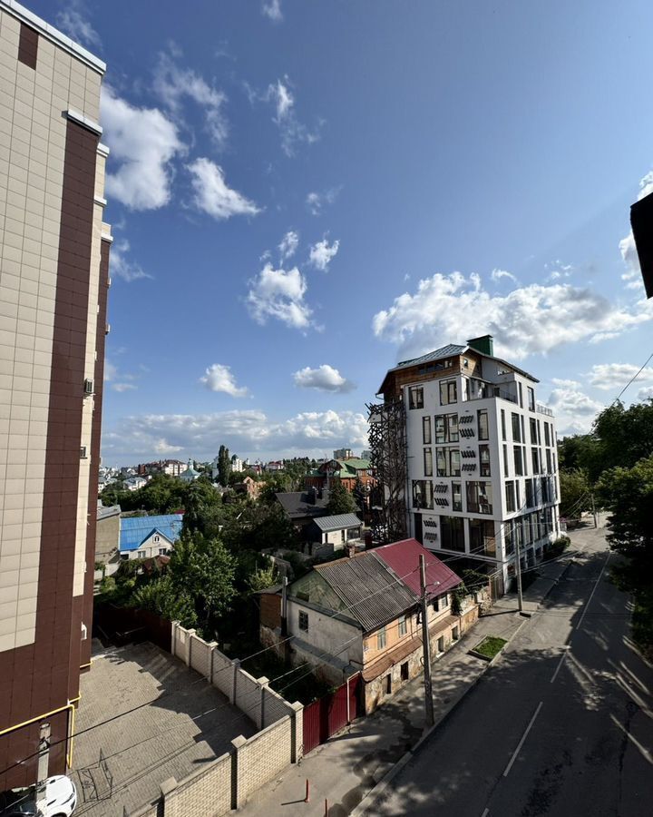 квартира г Воронеж р-н Центральный ул Манежная Большая 2 фото 13