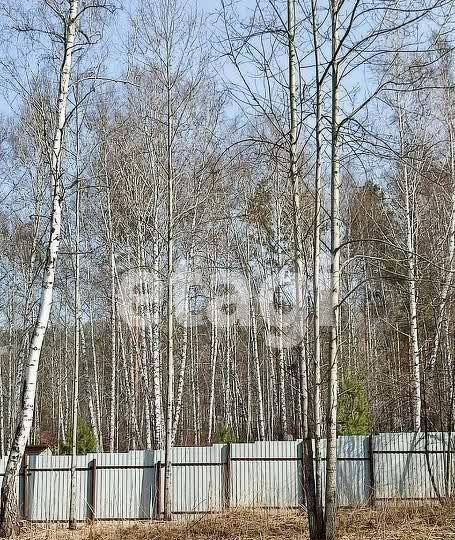 земля г Дивногорск с Овсянка п Манский фото 3