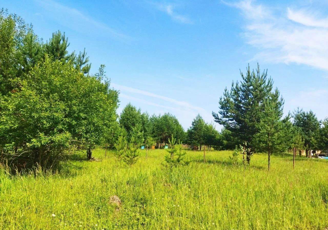 земля г Севастополь тер ТСН Дружба 91А, Крым фото 1
