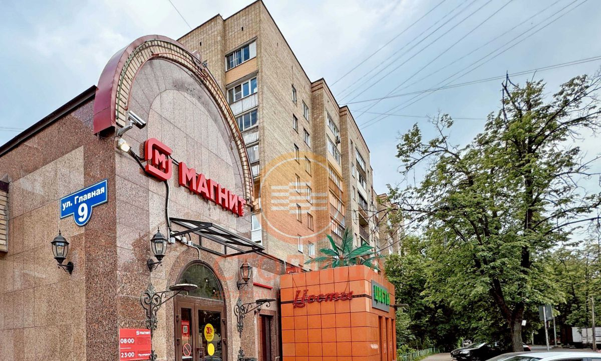 квартира г Балашиха мкр Ольгино ул Главная 9 Ольгино, м-н фото 23